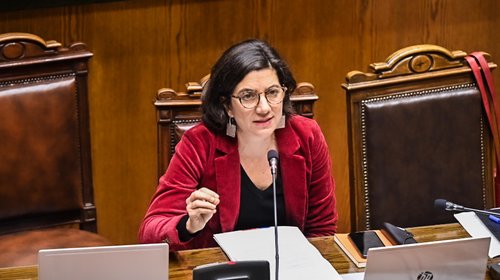 El Senado aprobó, por unanimidad, la idea de legislar sobre una nueva institucionalidad de prospectiva y desarrollo basado en conocimiento, impulsado por el MinCiencia