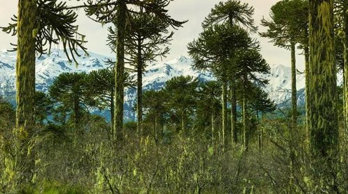 En La Araucanía se instala la primera Seremi regional de MinCiencia y nueva autoridad asume en Los Ríos y Los Lagos