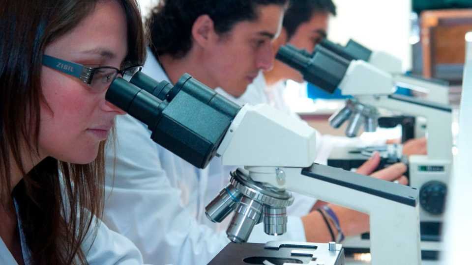 En busca de más startups, MinCiencia promueve nueva Ley de Transferencia de Tecnología